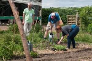 Lire la suite à propos de l’article Création d&rsquo;un Jardin de semences les 8-9 Septembre, 2018  59147 HERRIN