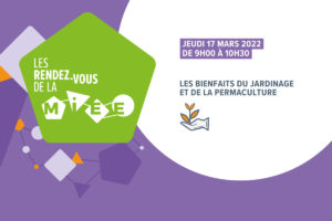 Lire la suite à propos de l’article LES BIENFAITS DU JARDINAGE ET DE LA PERMACULTURE