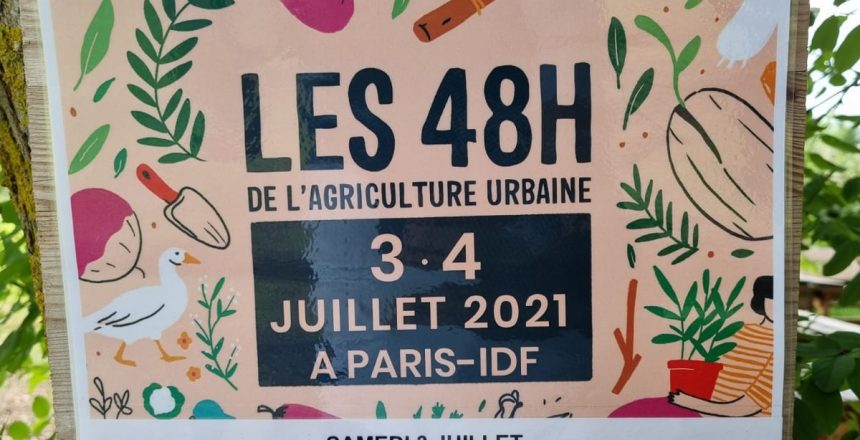 WhatsApp Image 2021-06-27 at 15.51.05